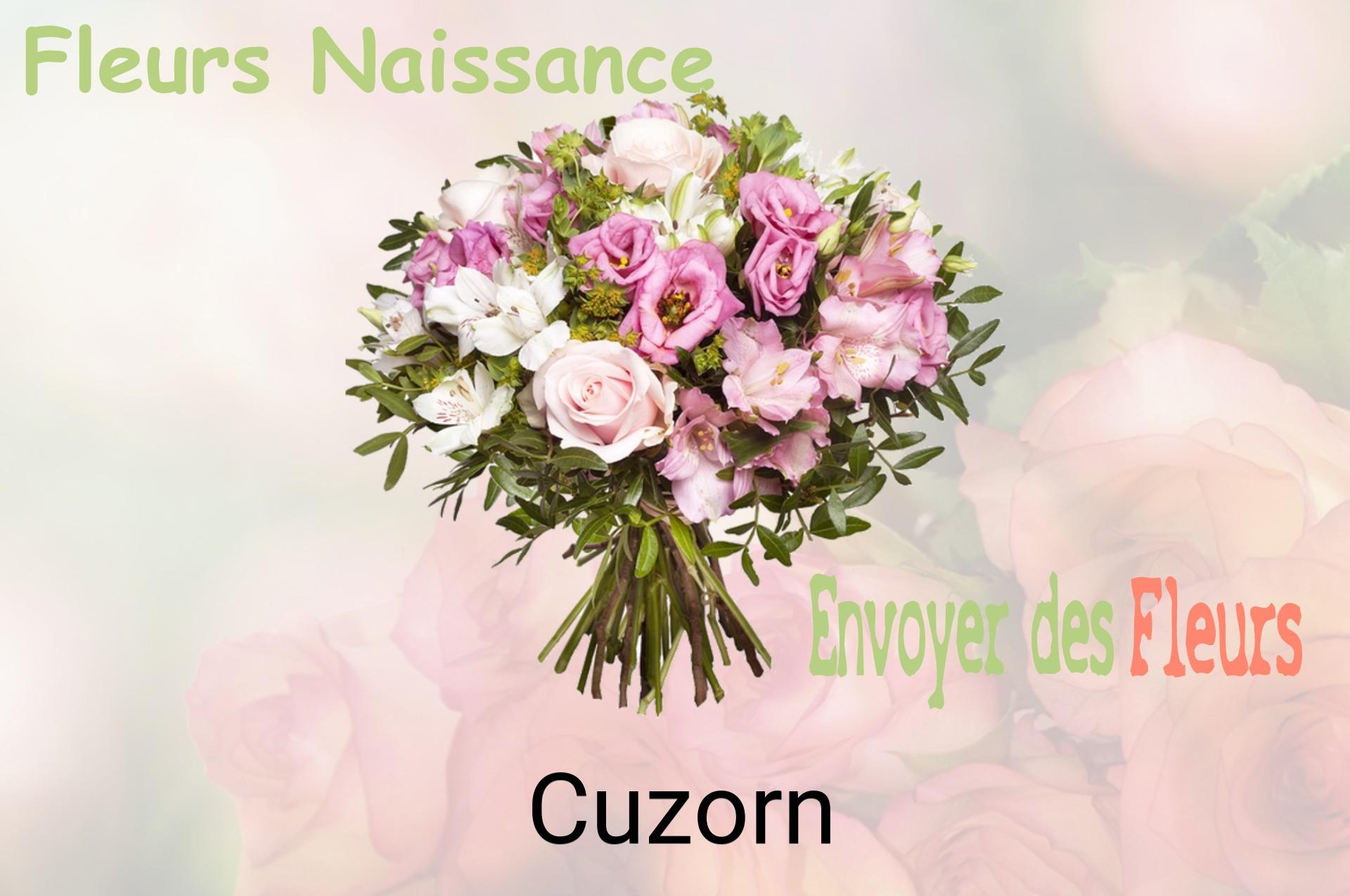 Bouquet de fleurs de naissance livré à Cuzorn