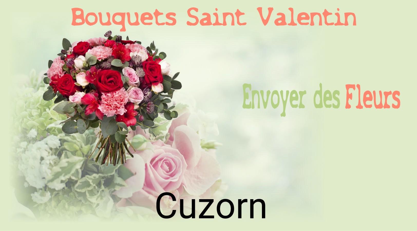 Roses de Saint-Valentin livrées à Cuzorn