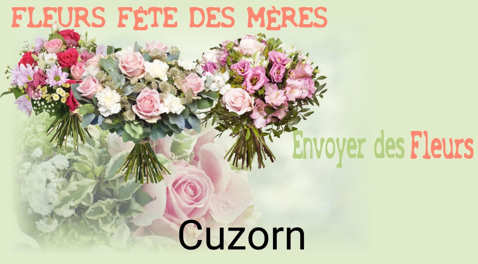 Bouquet de Fête des Mères livré à Cuzorn